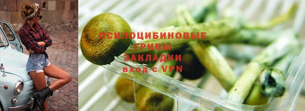 трава Арсеньев