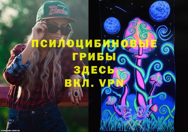 винт Армянск
