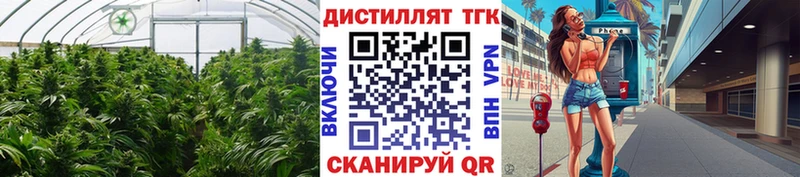 Дистиллят ТГК вейп  даркнет какой сайт  MEGA ССЫЛКА  Афипский  сколько стоит 