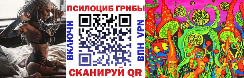 где продают наркотики  Афипский  Псилоцибиновые грибы MAGIC MUSHROOMS 