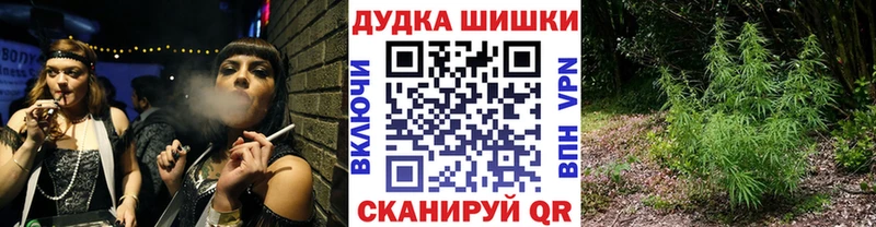 Канабис ГИДРОПОН Афипский